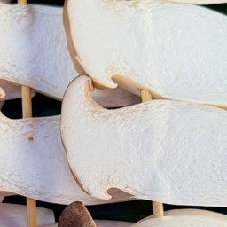 เห็ดออรินจิ