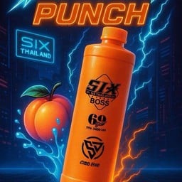 น้ำผลไม้Six69 ทรัพย์บุญชัย ซ28