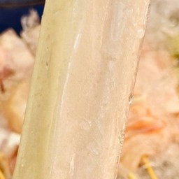 ไข่หมึก