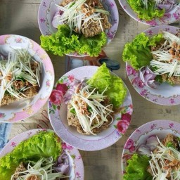 ปลาดุกฟู ราชพฤกษ์-นครอินทร์