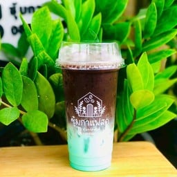 โกโก้มิ้นท์