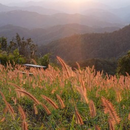 จ้งสั่ว ดอยสายหมอก