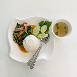 ข้าว คะน้าน้ำมันหอย