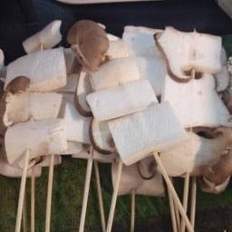 เห็ดออริ