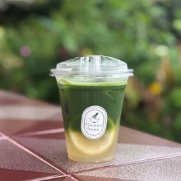 Matcha Honey Lemon (มัทฉะเลมอนดองน้ำผึ้ง)