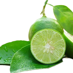 มะนาวโซดา