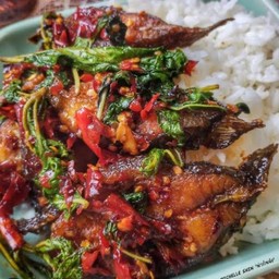 กระเพราปลาดุก