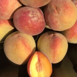 พีช ปั่น