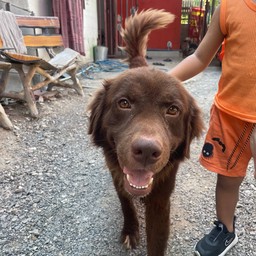 น้องภาระ