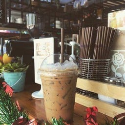 ชาปะล่ะ&กาแฟโบราณ  น้องแวนด้าวิด้า