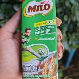 นมไมโล