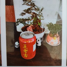 หวังเหล่าจี๋