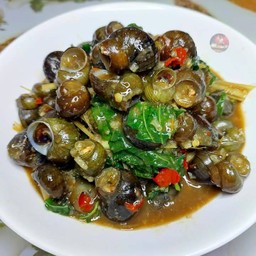 บ้านนอก คอกนา