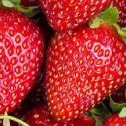 สตอเบอรี่สดปั่น