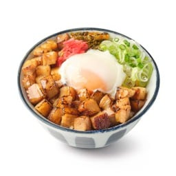 Chashu Onsen Don
