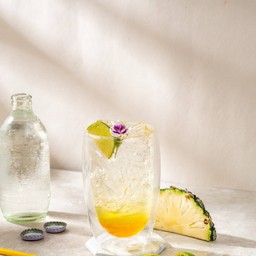 Pineapple & Fresh Lime Soda
