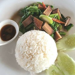 ข้าวราดคะน้าปลาเค็ม