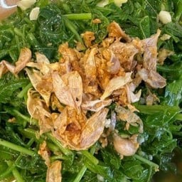 ผัดผักกูดเจ