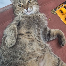 ทิปน้องน้ำหวาน