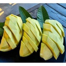 มะม่วงมันนิ่มเกือบสุก