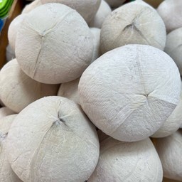 มะพร้าวน้ำหอมเผา