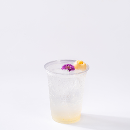 Lychee POP