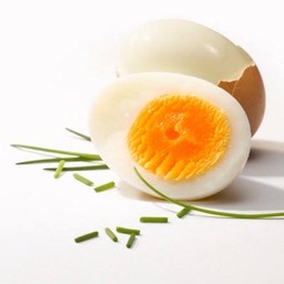 อาหารสุขภาพรัชญา