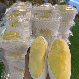 ทุเรียนหมอนทอง 2 กก เกรดพรีเมียม