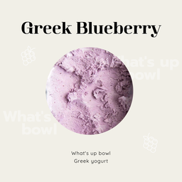 Greek Blueberry 1 scoop