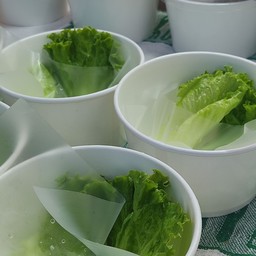 เพิ่มผักกาดหอม