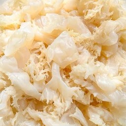 แมงกระพรุน