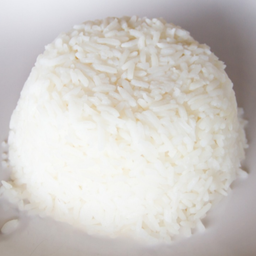 ย่าง อร่อย(หน้าท่าช้าง) สาขาซอยศรีมงคล3