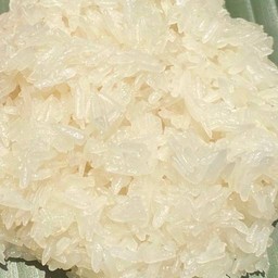 ข้าวเหนียวเปล่า