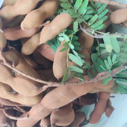 มะขามอ่อน 500 กรัม