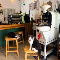 Purrcup Homecafe