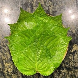 Sesame Leaves (10-12 Pcs)