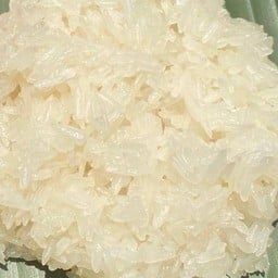 ข้าวเหนียวเปล่า