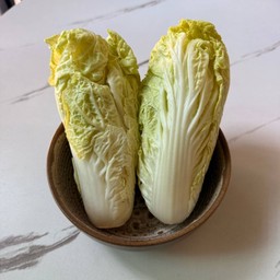ผักกาดขาว Chinese cabbage