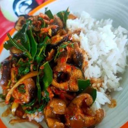ผัดเผ็ดปลาไหลราดข้าว+ไข่ดาว