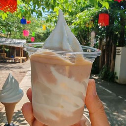 กะทิซอฟท์เสิร์ฟราดสังขยาเผือก