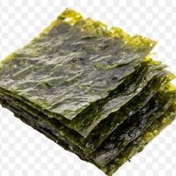 สาหร่ายแผ่น