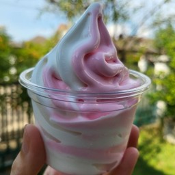 กะทิผสมนมเย็นซอฟท์เสิร์ฟ