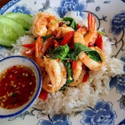 กระเพรากุ้ง ราดข้าว