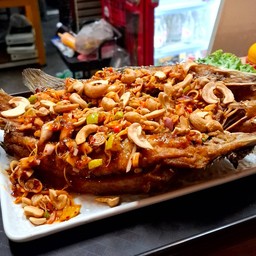 ปลากระพงลุยสวน