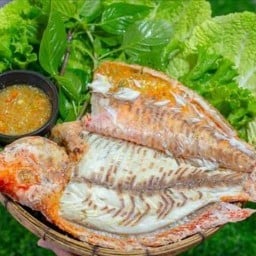 มุกดาโคตรซีฟู้ดปลาเผากุ้งแช่ส้มตำยำ