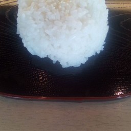 ข้าวญี่ปุ่น