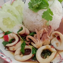 กะเพราหมึก ราดข้าว