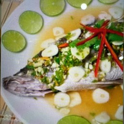 ปลา กระพงนึ่งมะนาว