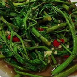 กะเฉดไฟแดง