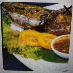 ปลาดุกย่าง